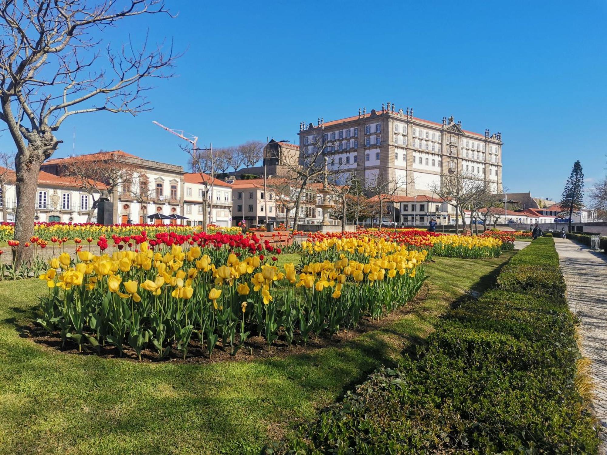 Villa Amor Perfeito Vila do Conde Zewnętrze zdjęcie